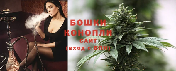 стафф Касимов