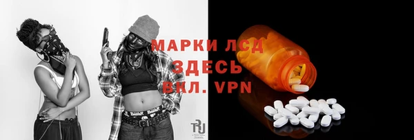 ГАЛЛЮЦИНОГЕННЫЕ ГРИБЫ Рославль